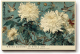 Paul Sinus Wandbild 120x80cm Weiße Chrysanthemen mit Vögeln Klassische Natur Kunst in Blau Grün und Creme für Wohnzimmer Schlafzimmer Büro
