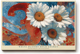Paul Sinus Wandbild 120x80cm Weiße Margeriten mit abstraktem Hintergrund – Moderne Blumenkunst mit starken Farben für lebendige Wohnräume