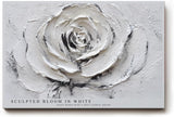 Paul Sinus Wandbild 120x80cm Weisse Rose Relief Blumen Kunst Moderne Strukturmalerei Elegantes Florales Kunstmotiv in Weiss und Grau