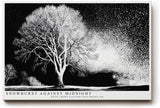 Paul Sinus Wandbild 120x80cm Winterbaum Schneesturm Schwarz Weiss Kontrastreiche Naturkunst Minimalistische Landschaft für Wohnzimmer Büro Flur