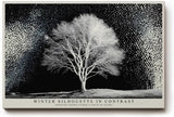 Paul Sinus Wandbild 120x80cm Winterbaum Schwarz Weiss Kontrastreiche Naturkunst Minimalistische Landschaft für Wohnzimmer Büro Flur