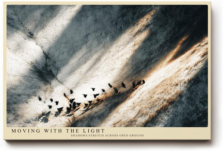 Paul Sinus Wandbild 120x80cm Wuestenlandschaft mit Vogelschwarm abstrakte Naturfotografie moderne Leinwand Wanddekoration Landschaftsbild fuer Wohnzimmer Büro