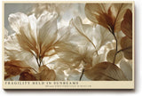 Paul Sinus Wandbild 120x80cm Zarte Blumen Sonnenlicht botanische Kunst Natur Wanddekoration Wohnzimmer Schlafzimmer