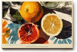 Paul Sinus Wandbild 120x80cm Zitrus Stillleben moderne Frucht Kunst orange gelb Kunstdruck grosses Wandbild 120x80cm frische Wanddekoration fuer Kueche Esszimmer Wohnzimmer