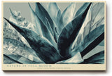 Paul Sinus Wandbild 120x80cm abstrakte Agave Pflanze moderne botanische Illustration blau gruene Naturkunst stilvolle Wanddekoration fuer Wohnzimmer Büro