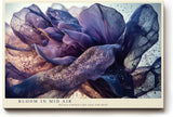 Paul Sinus Wandbild 120x80cm abstrakte Bluete modern violett gold elegante Kunst Kunstdruck grosses Kunstbild stilvolle Wanddekoration fuer Wohnzimmer Büro