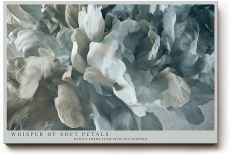 Paul Sinus Wandbild 120x80cm abstrakte Blume modern grau beige floral Kunst Kunstdruck grosses Kunstbild elegante Wanddekoration fuer Wohnzimmer Büro Flur