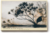 Paul Sinus Wandbild 120x80cm abstrakte Blumen Naturstruktur moderne botanische Kunst braune graue Linien minimalistische