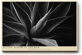 Paul Sinus Wandbild 120x80cm abstrakte Blumenform schwarz weiss moderne botanische Kunst minimalistische Wanddekoration fuer Wohnzimmer Büro