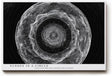 Paul Sinus Wandbild 120x80cm abstrakte Kreisstruktur monochrom moderne Linienkunst schwarz weiss spirituelle Geometrie grosses Kunstbild Wanddekoration fuer Wohnzimmer Büro Flur