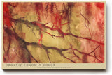 Paul Sinus Wandbild 120x80cm abstrakte Naturstruktur modern rot beige organische Formen Kunst Kunstdruck grosses Kunstbild stilvolle Wanddekoration fuer Wohnzimmer Büro Flur