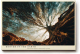 Paul Sinus Wandbild 120x80cm alter Baum von unten Naturfotografie modern mystische Waldszene grosses Natur Kunstbild stilvolle Wanddekoration fuer Wohnzimmer Büro Flur
