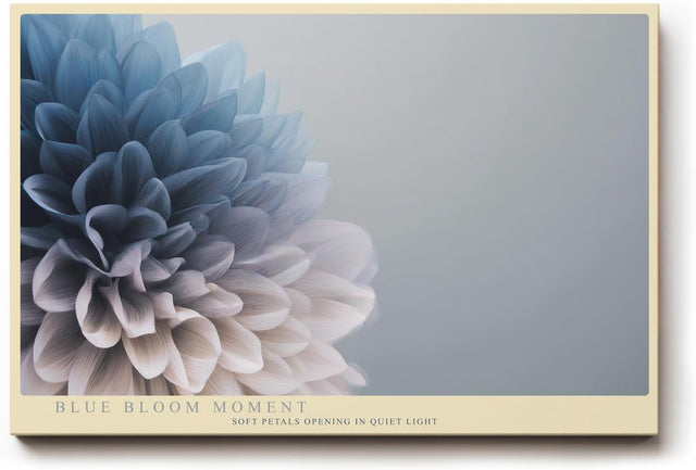 Paul Sinus Wandbild 120x80cm blaue Blume Makro Fotokunst elegante Blüten Nahaufnahme in sanften Blau und Grautönen modernes Kunstposter für Wohnzimmer Schlafzimmer Büro