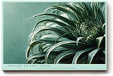 Paul Sinus Wandbild 120x80cm botanische Pflanze Makroaufnahme gruene Blaetter moderne Naturfotografie minimalistische Wanddekoration fuer Wohnzimmer Büro