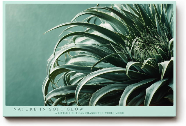 Paul Sinus Wandbild 120x80cm botanische Pflanze Makroaufnahme gruene Blaetter moderne Naturfotografie minimalistische Wanddekoration fuer Wohnzimmer Büro