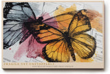Paul Sinus Wandbild 120x80cm bunte Schmetterlinge moderne Mixed Media Kunst mit orange gelben Fluegeln stilvolle Wanddekoration fuer Wohnzimmer Büro