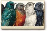 Paul Sinus Wandbild 120x80cm bunte Voegel Reihe Tierillustration moderne Vogelkunst farbenfrohe Wanddekoration fuer Wohnzimmer Büro