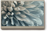 Paul Sinus Wandbild 120x80cm elegante Blueten Makroaufnahme zarte Blumen Kunst sanfte Naturfarben modernes Kunstbild stilvolle Wanddekoration fuer Wohnzimmer