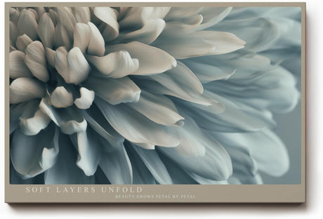 Paul Sinus Wandbild 120x80cm elegante Blueten Makroaufnahme zarte Blumen Kunst sanfte Naturfarben modernes Kunstbild stilvolle Wanddekoration fuer Wohnzimmer