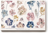 Paul Sinus Wandbild 120x80cm florale Illustration Blumen Sammlung in Pastellfarben moderne botanische Kunst stilvolles Naturbild für Wohnzimmer Büro