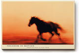 Paul Sinus Wandbild 120x80cm galoppierendes Pferd Silhouette im Sonnenuntergang dynamische Tier Fotokunst in warmen Orangetönen modernes Pferdebild für Wohnzimmer Büro