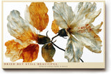 Paul Sinus Wandbild 120x80cm getrocknete Blumen botanische Kunst warme Naturfarben florales Stillleben modernes Blumenbild stilvolle Wanddekoration fuer Wohnzimmer Büro