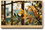 Paul Sinus Wandbild 120x80cm goldene Blaetter am Fenster warmes Sonnenlicht botanische Fotokunst natur Motiv moderne Wanddekoration fuer Wohnzimmer Büro