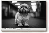 Paul Sinus Wandbild 120x80cm kleiner Hund Schwarz Weiss Fotografie niedliches Tierportrait modernes Hunde Kunstbild für Wohnzimmer Flur Büro