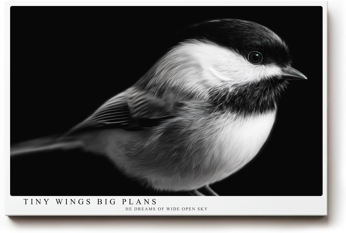 Paul Sinus Wandbild 120x80cm kleiner Vogel Fotokunst schwarz weiss minimalistisch ruhige Natur Tierporträt elegantes Kunstbild moderne