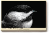 Paul Sinus Wandbild 120x80cm kleiner Vogel Nahaufnahme Fotokunst schwarz weiss minimalistische Tierfotografie ruhiges Naturmotiv stilvolle