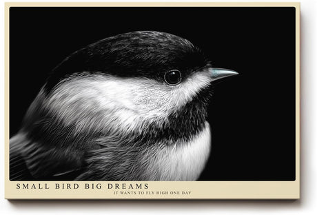 Paul Sinus Wandbild 120x80cm kleiner Vogel Nahaufnahme Fotokunst schwarz weiss minimalistische Tierfotografie ruhiges Naturmotiv stilvolle