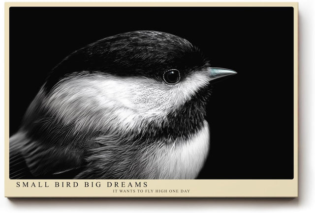 Paul Sinus Wandbild 120x80cm kleiner Vogel Nahaufnahme Fotokunst schwarz weiss minimalistische Tierfotografie ruhiges Naturmotiv stilvolle