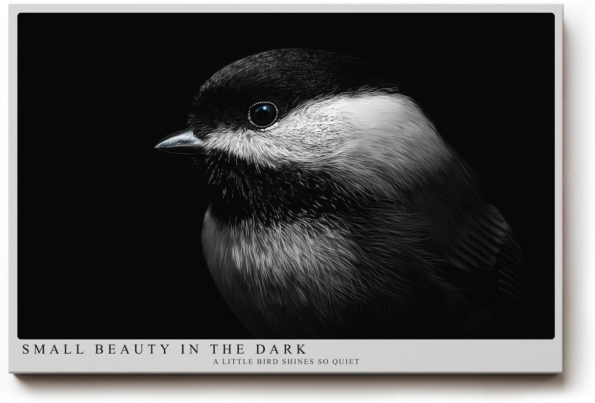 Paul Sinus Wandbild 120x80cm kleiner Vogel im Dunkel Fotokunst schwarz weiss minimalistische Natur Tierportrait elegantes Kunstbild moderne