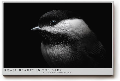 Paul Sinus Wandbild 120x80cm kleiner Vogel im Dunkel Fotokunst schwarz weiss minimalistische Natur Tierportrait elegantes Kunstbild moderne