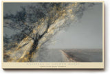 Paul Sinus Wandbild 120x80cm magischer Baum Landschaft Kunst goldene Lichtpartikel mystische Natur moderne