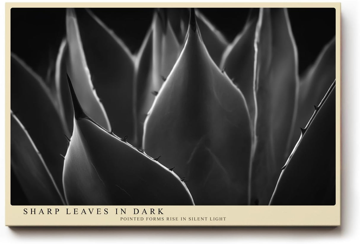 Paul Sinus Wandbild 120x80cm minimalistische Pflanzen Fotokunst Schwarz Weiss Agave Blaetter moderne Naturfotografie elegantes Kunstposter fuer Wohnzimmer Schlafzimmer Büro