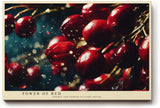 Paul Sinus Wandbild 120x80cm rote Beeren Makrofotografie Naturmotiv moderne Food Fotografie Kunstbild stilvolle Wanddekoration fuer Kueche Esszimmer Wohnzimmer