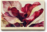 Paul Sinus Wandbild 120x80cm rote Blueten abstrakte Blumenmalerei florale Kunst rot beige elegante Wanddekoration fuer Wohnzimmer Büro