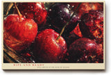 Paul Sinus Wandbild 120x80cm rote Kirschen Stillleben Obst Fotokunst intensives Rot Frucht Motiv moderne Wanddekoration fuer Kueche Esszimmer Wohnzimmer