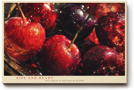 Paul Sinus Wandbild 120x80cm rote Kirschen Stillleben Obst Fotokunst intensives Rot Frucht Motiv moderne Wanddekoration fuer Kueche Esszimmer Wohnzimmer