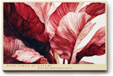 Paul Sinus Wandbild 120x80cm rote tropische Blaetter moderne botanische Kunst abstrakte Pflanzenillustration grosses Kunstbild stilvolle Wanddekoration fuer Wohnzimmer Büro
