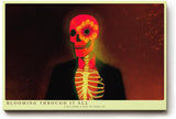 Paul Sinus Wandbild 120x80cm surrealer Totenkopf mit Blume moderne Kunst Illustration farbenstarkes Motiv stilvolle Wanddekoration fuer Wohnzimmer Büro