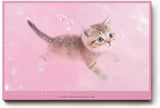 Paul Sinus Wandbild 120x80cm süßes Kätzchen rosa Hintergrund niedliche Katze Tiermotiv Pastellfarben modernes Tierbild dekorative Wanddekoration für Kinderzimmer Wohnzimmer Schlafzimmer