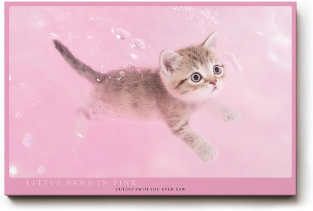 Paul Sinus Wandbild 120x80cm süßes Kätzchen rosa Hintergrund niedliche Katze Tiermotiv Pastellfarben modernes Tierbild dekorative Wanddekoration für Kinderzimmer Wohnzimmer Schlafzimmer