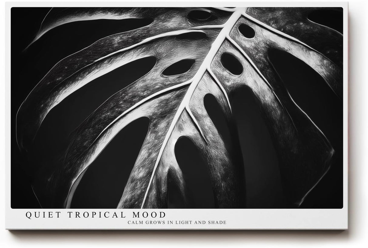 Paul Sinus Wandbild 120x80cm tropisches Blatt Monstera schwarz weiss minimalistische Natur Fotokunst moderner Kunstdruck elegante