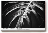 Paul Sinus Wandbild 120x80cm tropisches Blatt Monstera schwarz weiss minimalistische Natur Fotokunst moderner Kunstdruck elegante