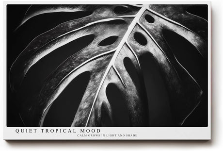 Paul Sinus Wandbild 120x80cm tropisches Blatt Monstera schwarz weiss minimalistische Natur Fotokunst moderner Kunstdruck elegante