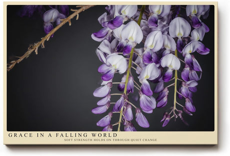 Paul Sinus Wandbild 120x80cm violette Glyzinien Bluetenhaenge florale Naturfotografie elegante Blumen Wanddekoration fuer Wohnzimmer Büro
