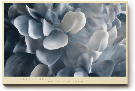 Paul Sinus Wandbild 120x80cm weiche Blumen Nahaufnahme graue Blueten moderne florale Kunst elegante Wanddekoration fuer Wohnzimmer Büro