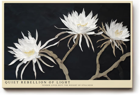 Paul Sinus Wandbild 120x80cm weisse Blueten auf dunklem Hintergrund elegante Blumenfotografie moderne florale Wanddekoration fuer Wohnzimmer Büro